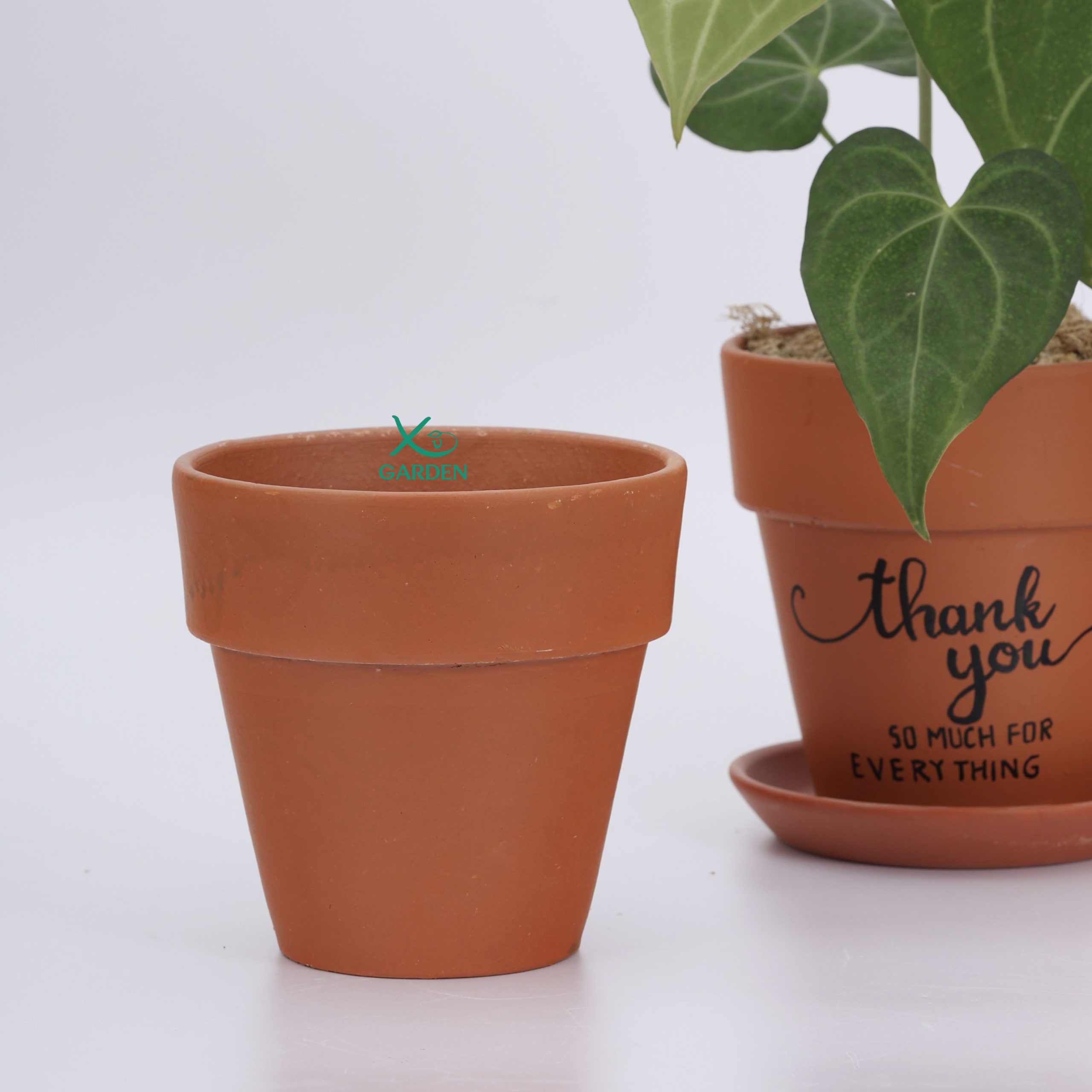 Chậu đất nung ly tròn cao 15x15cm