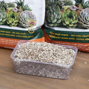 Đất trồng sen đá xương rồng Namix IMG 2804 copy