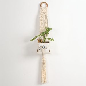 Dây treo chậu cây treo tường decor IMG 4037 copy 2