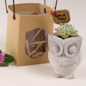 Sen đá quà tặng mẫu tượng cú