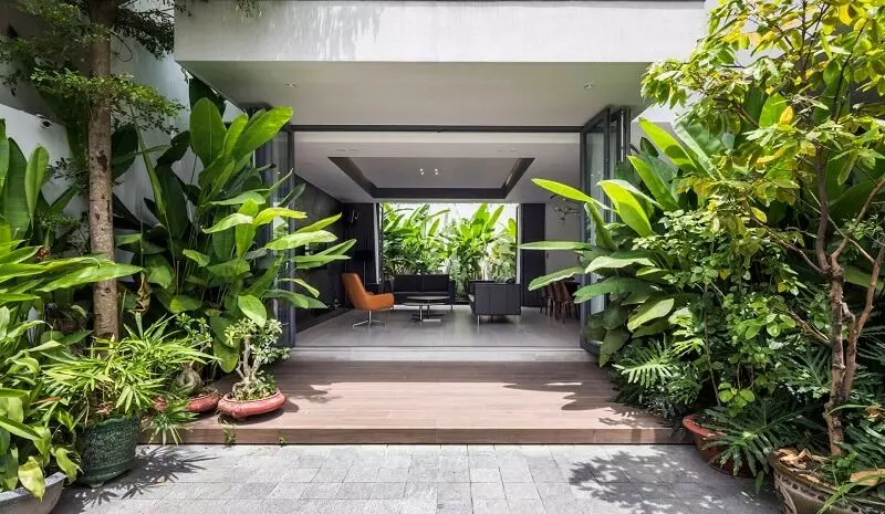 Những cây kiêng kỵ trồng trước nhà không tốt cho gia chủ Những cây kiêng kỵ trồng trước nhà