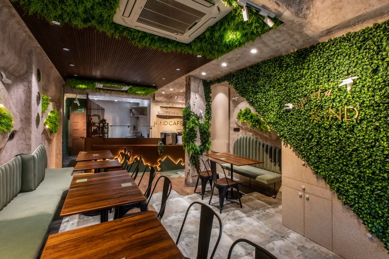 Sức Hấp Dẫn Từ Cây Cảnh Cho Quán Cafe cây xanh decor quán Café