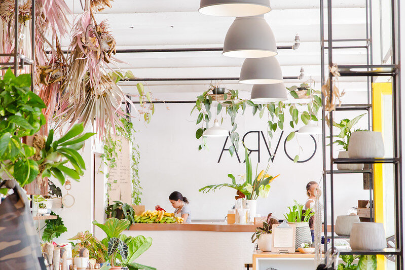 Sức Hấp Dẫn Từ Cây Cảnh Cho Quán Cafe decor cây xanh quán Café