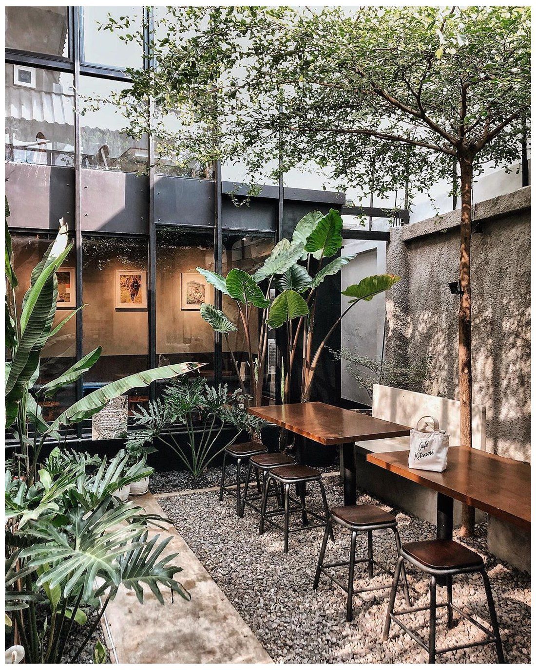 Sức Hấp Dẫn Từ Cây Cảnh Cho Quán Cafe decor quán Café phong cách nhiệt đới