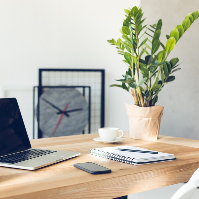 Mệnh Kim Hợp Cây Gì Để Bàn Làm Việc