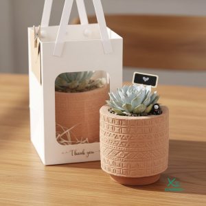 quà tặng sen đá