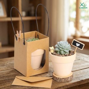 Set quà tặng sen đá mini